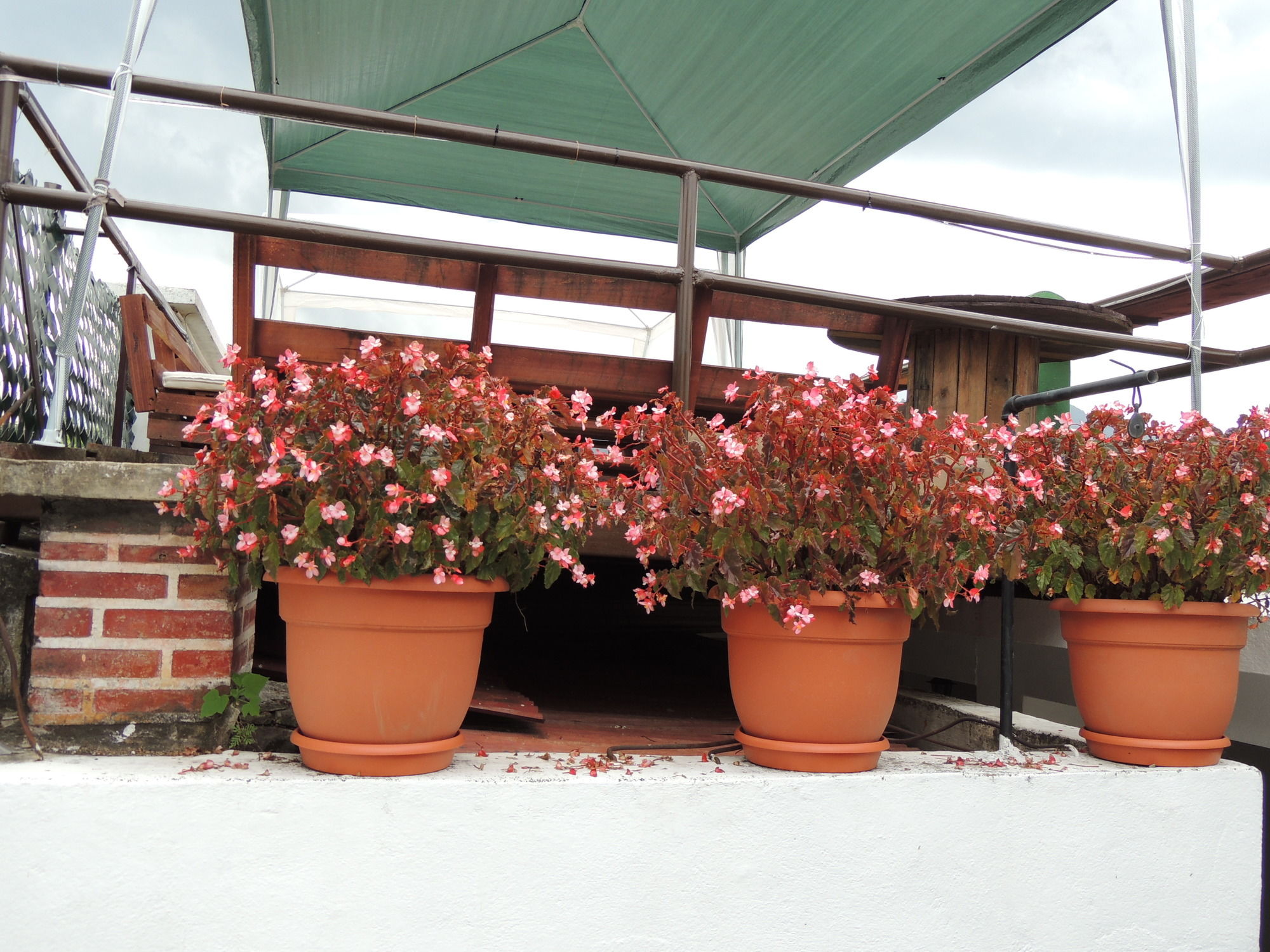 Фото Feathers Hotel and Lounge - Hostel