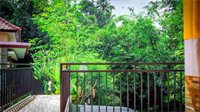 Фото Green View Widia