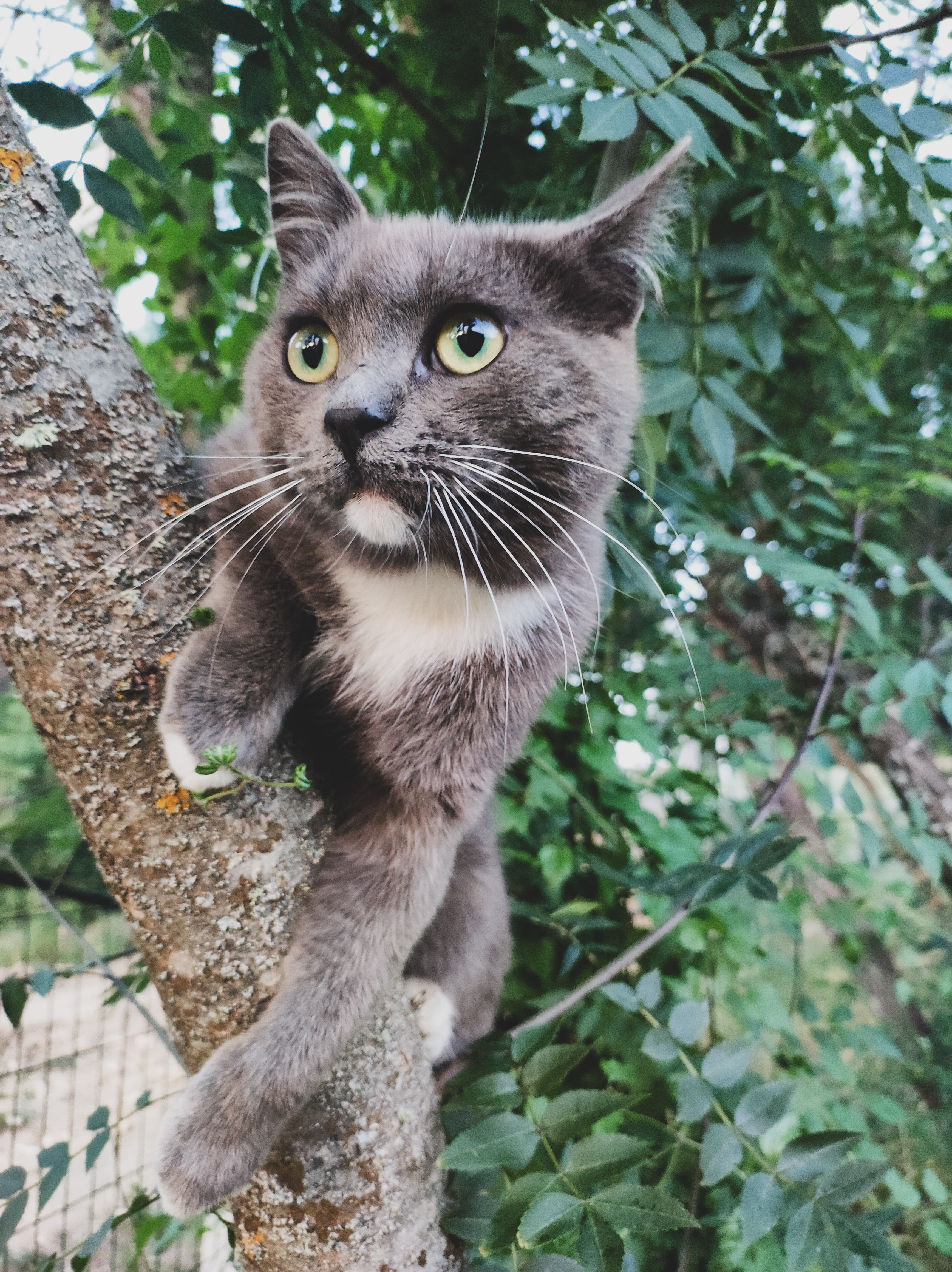 Фото Уркуста-парк