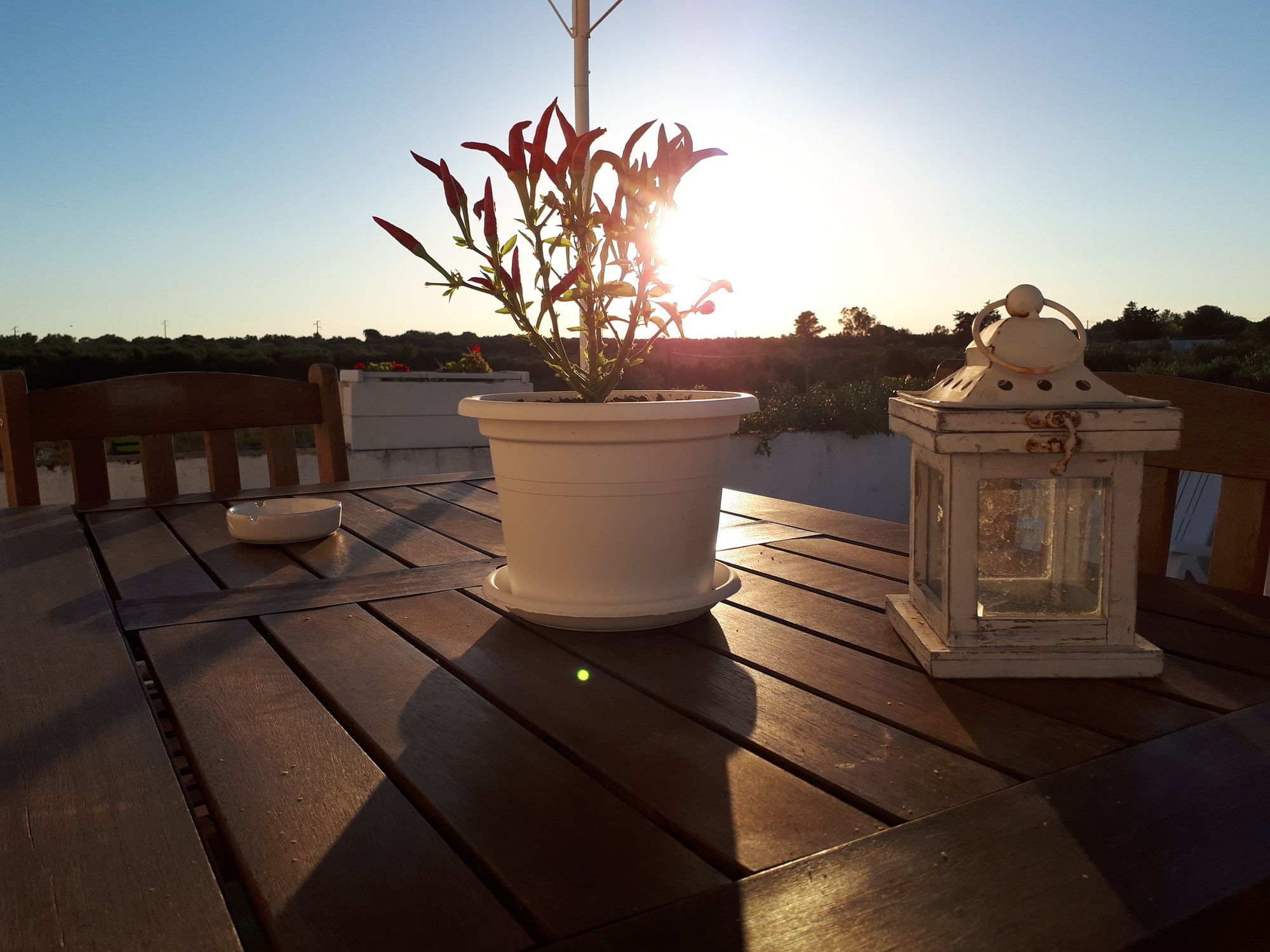 Фото Masseria Costarella