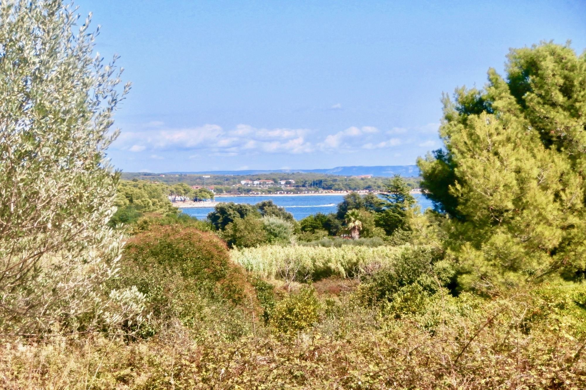 Фото Dunja Apartments