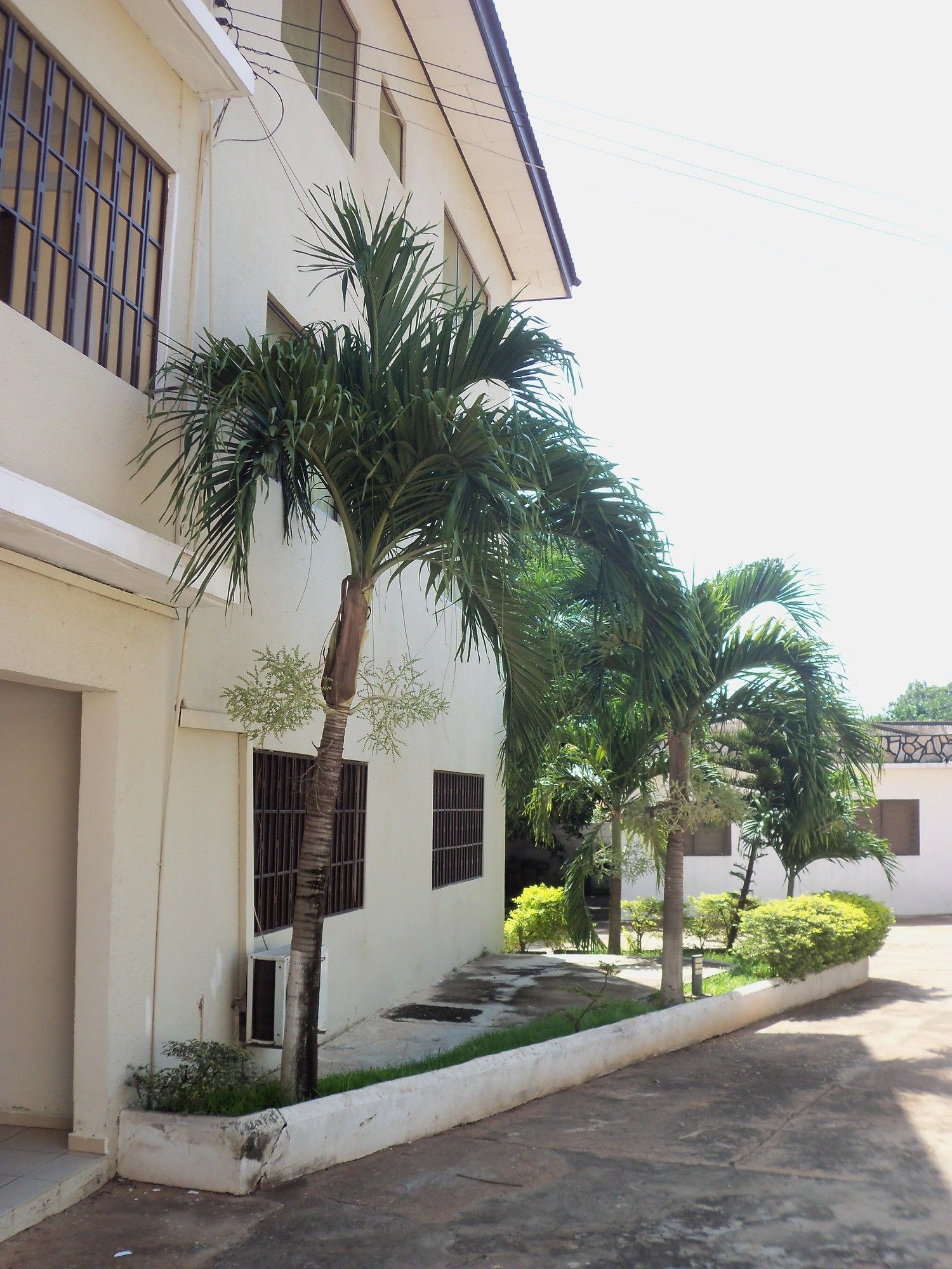 Фото Jenos Hotels