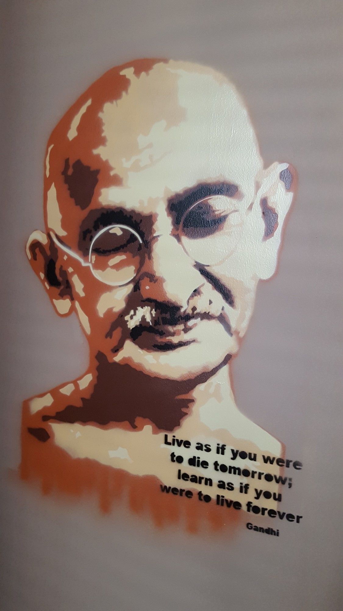 Фото Albatross Hostel