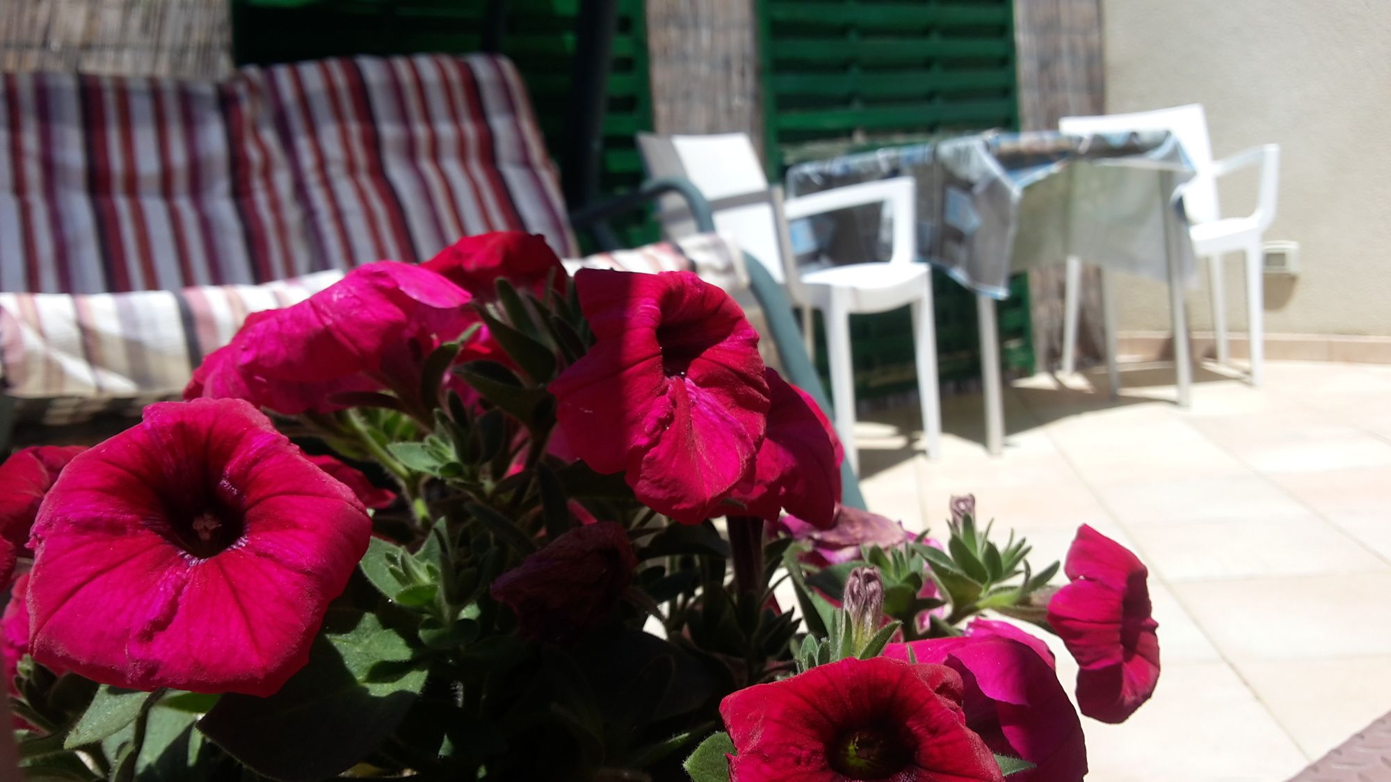 Фото B&b Sogni d'oro