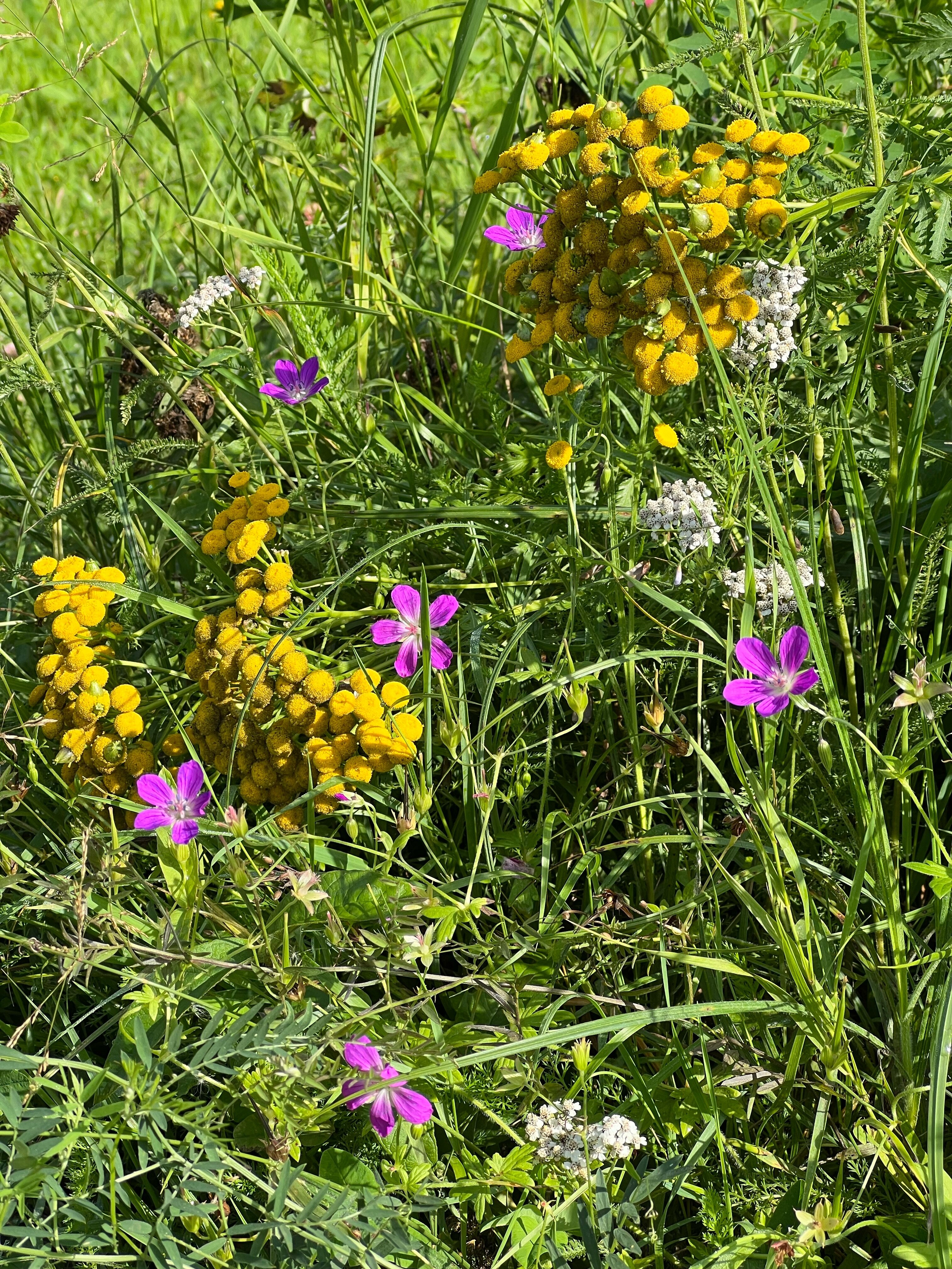 Фото Дом в долине