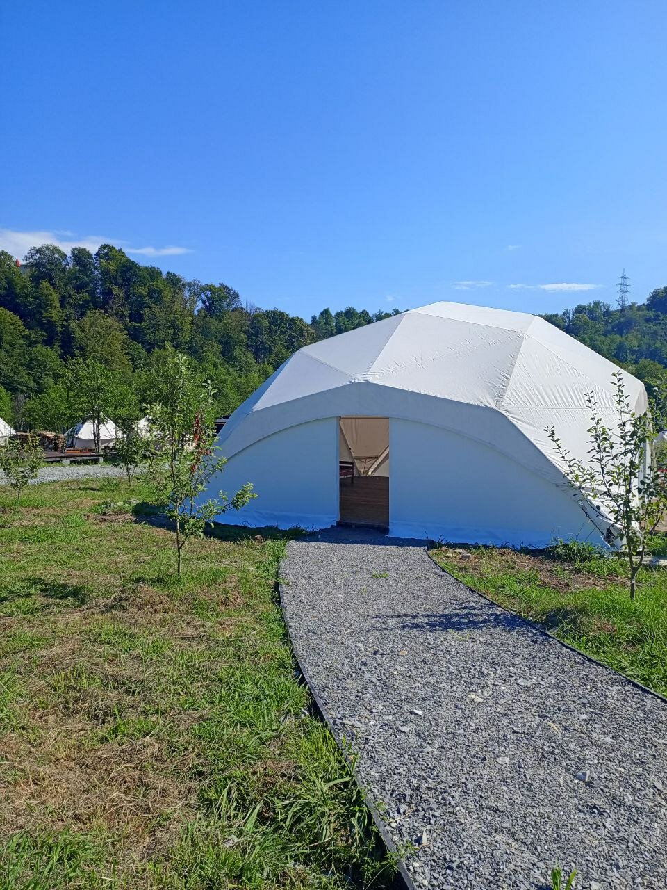 Фото Сад чудес