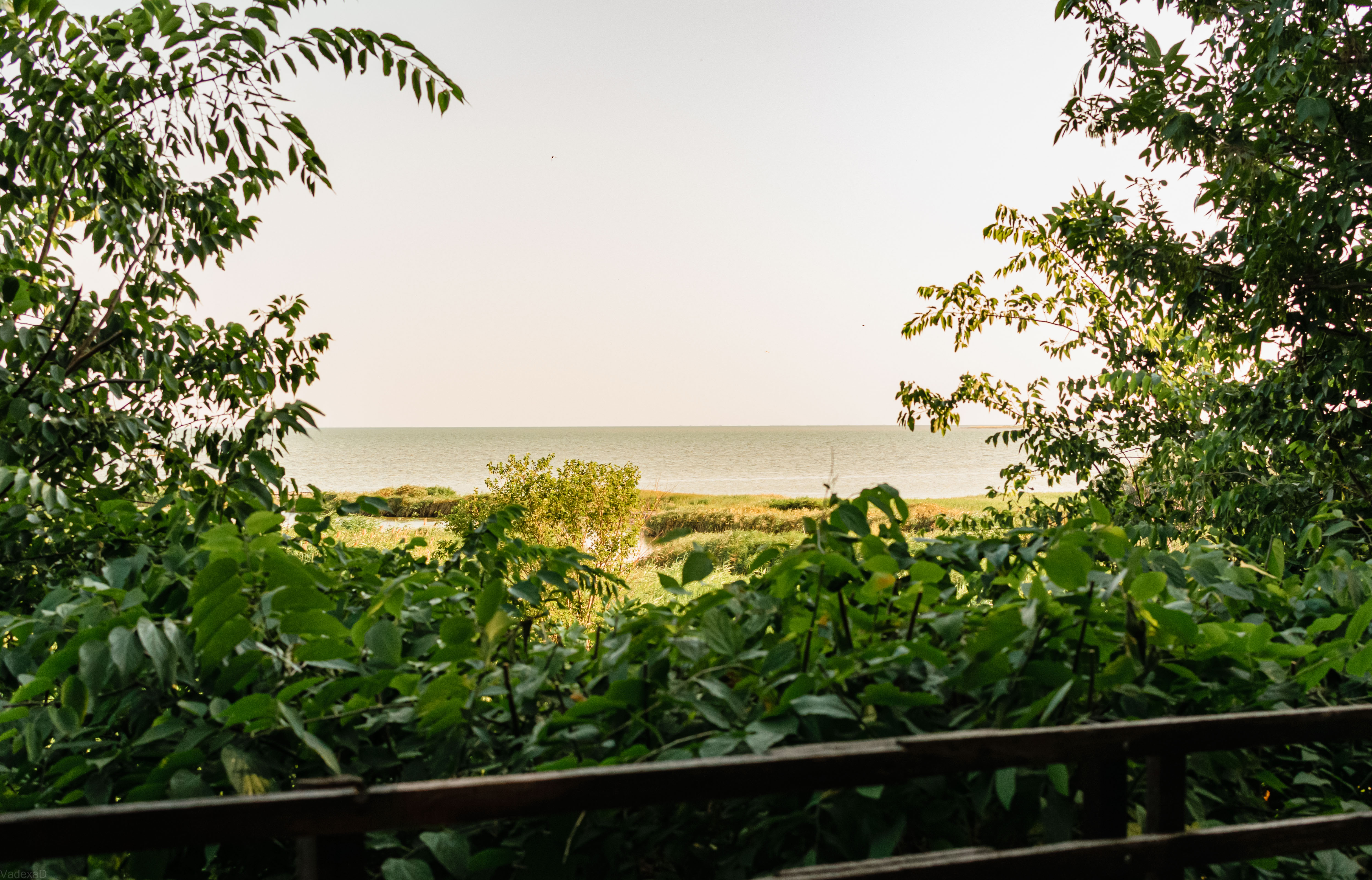 Фото Панорама