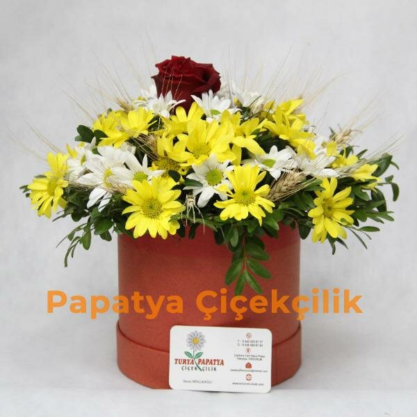 Flower shop Papatya Cicekcilik, Erzurum, photo