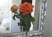 Фото Long Street Boutique Hotel