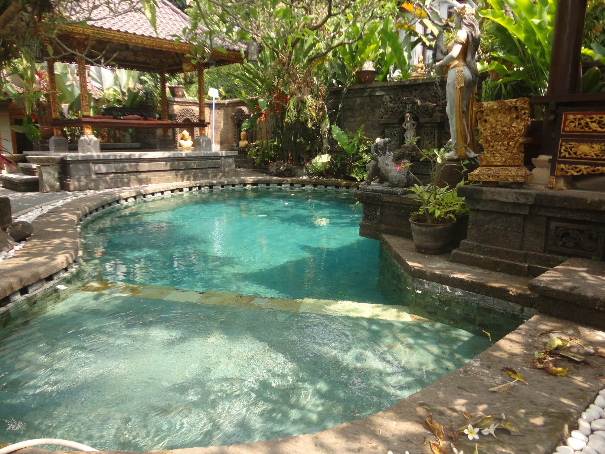 Фото Monkey Forest Bungalow