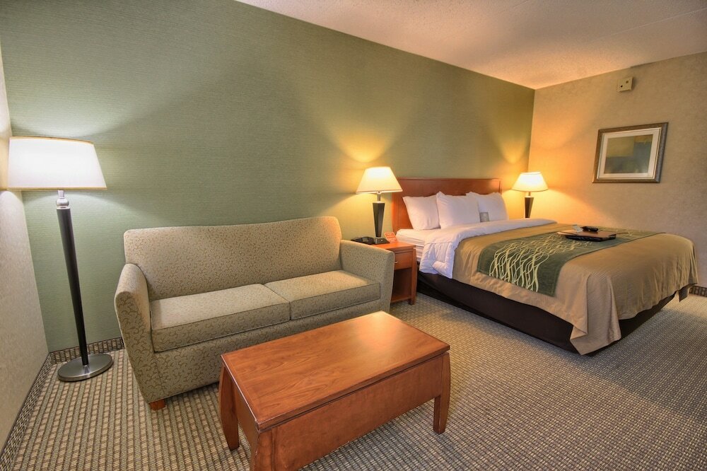 Фото Comfort Inn Near Greenfield Village