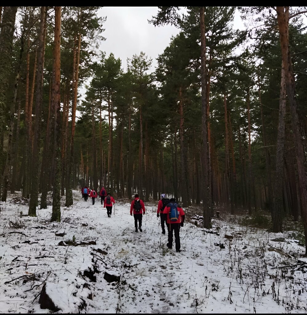 Computers and computer components wholesale Dak, Eskisehir, photo