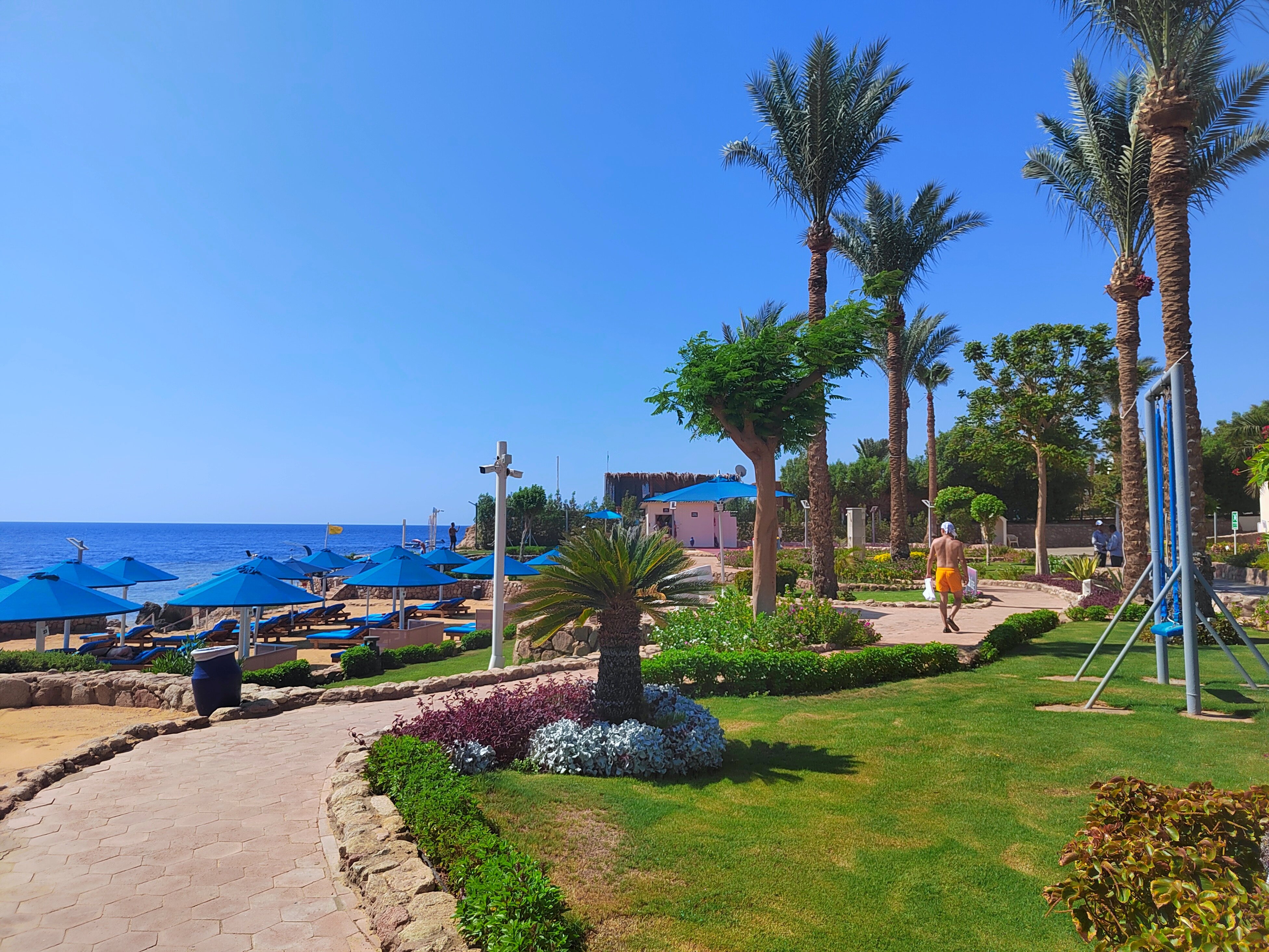 Фото Pickalbatros Royal Grand Resort