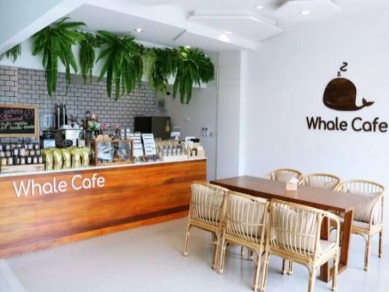 Фото Sleep Whale Hotel