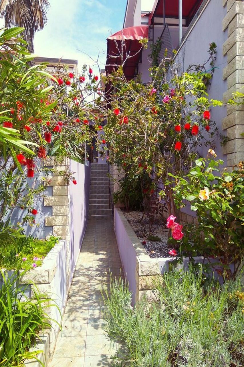 Фото ApartHotel Viola