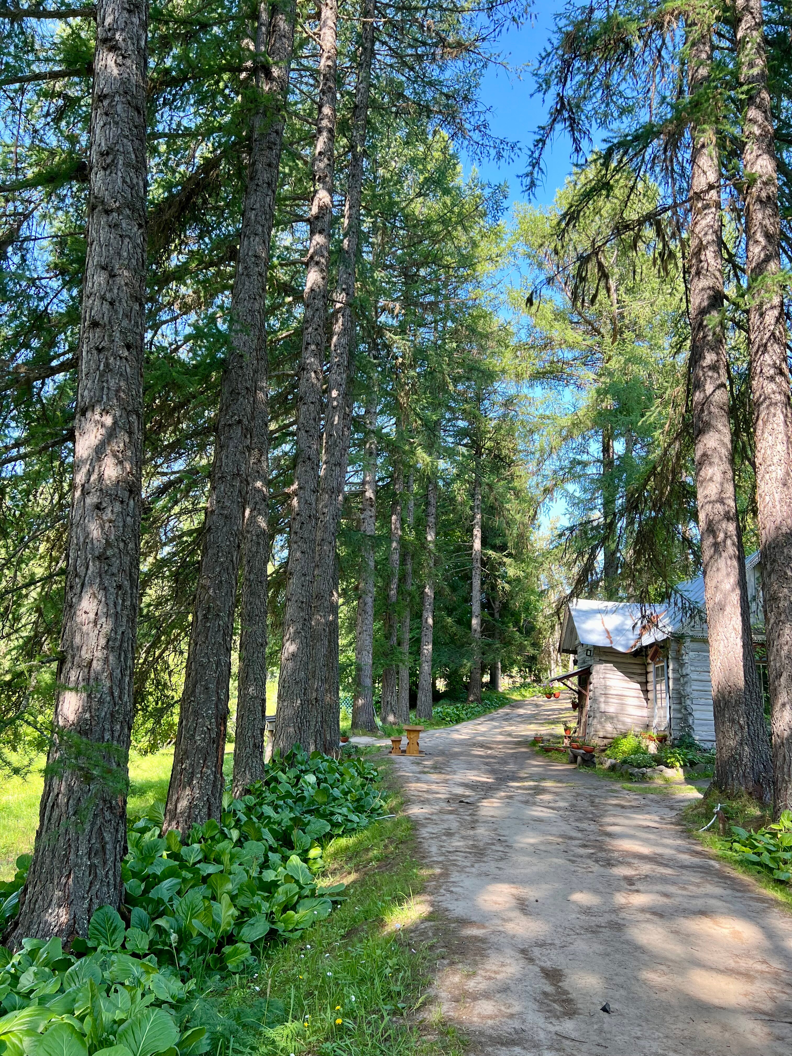 Фото Соловки