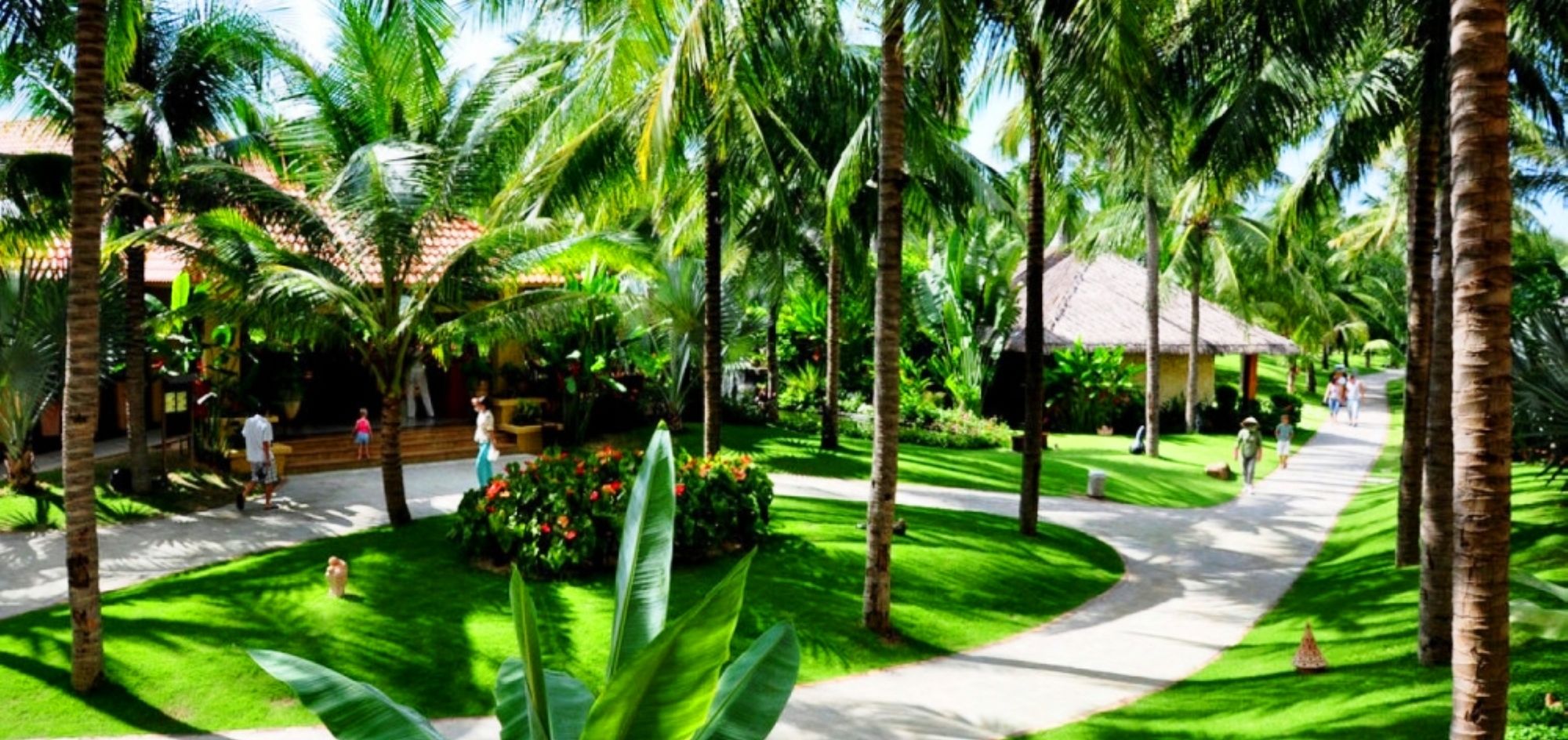 Фото Terracotta Resort & SPA