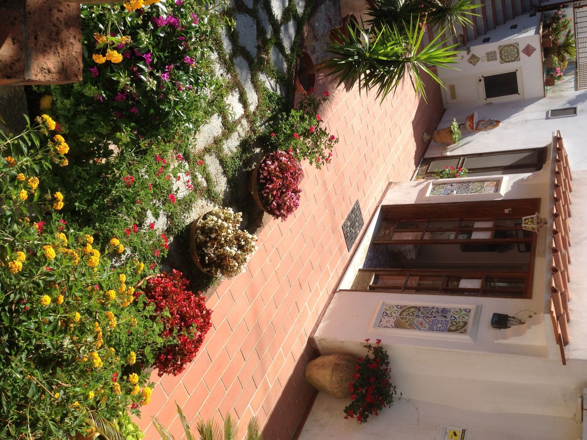 Фото Mediterraneo