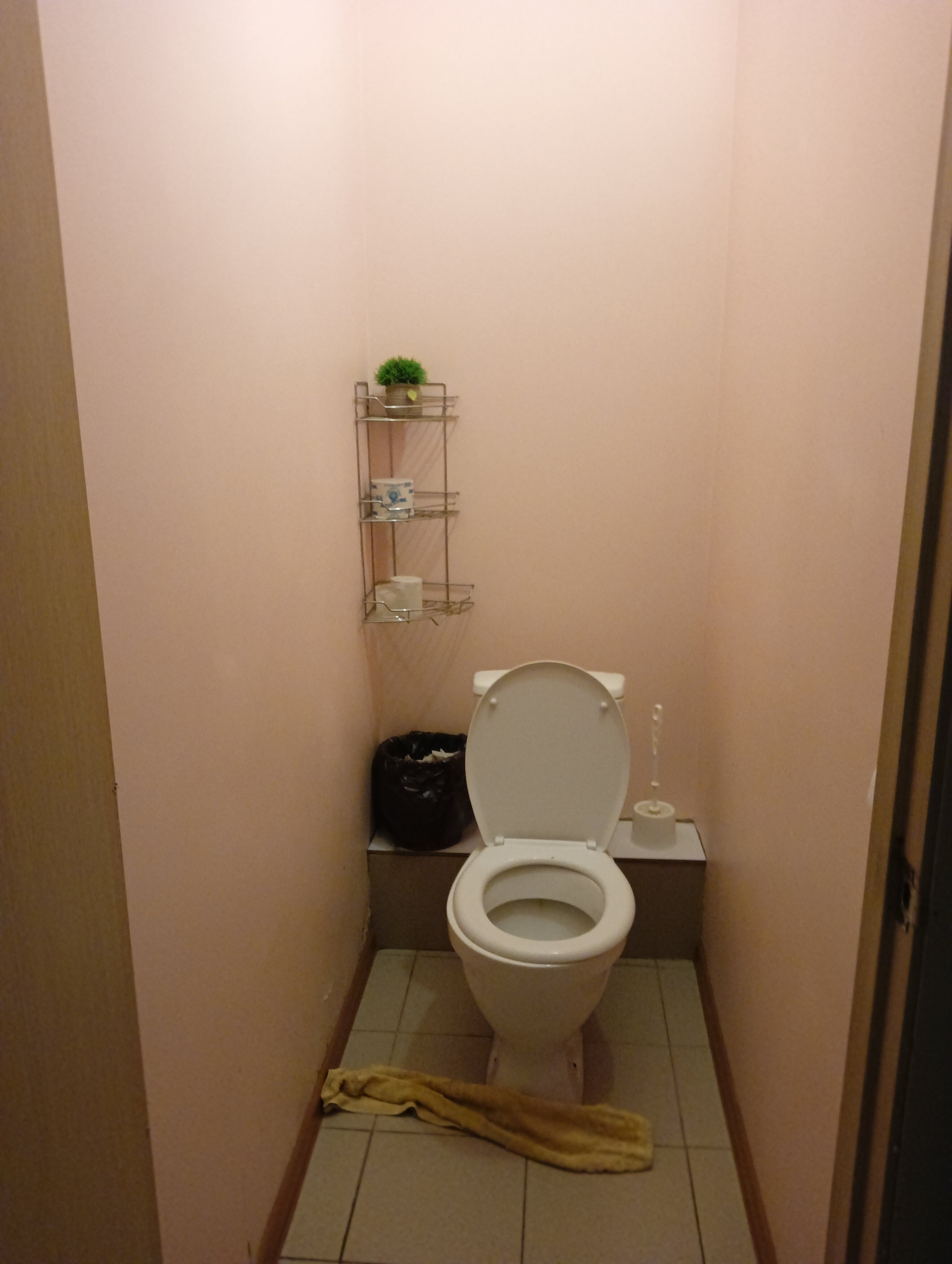 Фото Дружба