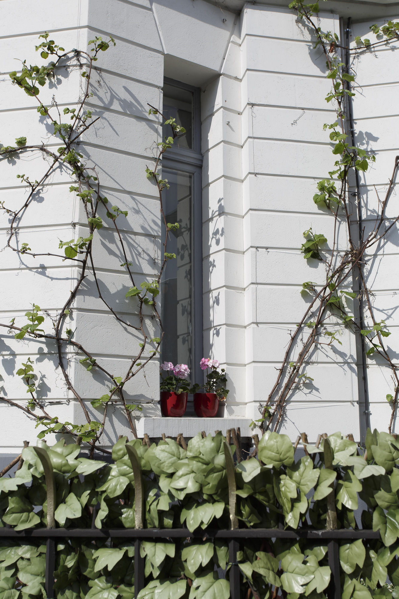 Фото Le Chat Qui Dort - Villa Gounod