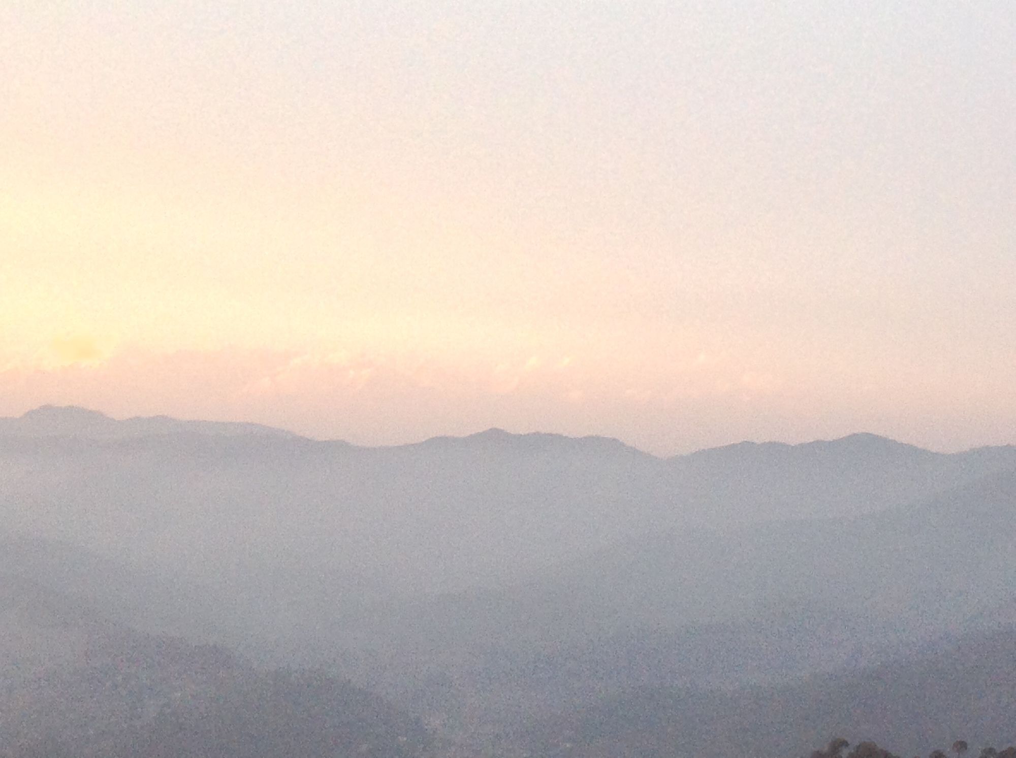 Фото Woodsvilla Resort