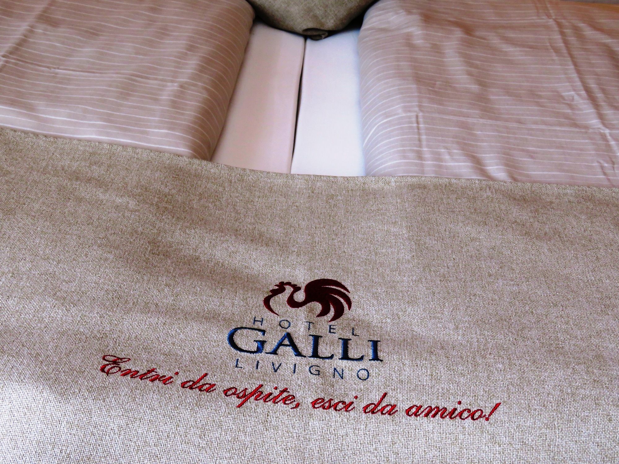 Фото Hotel Galli