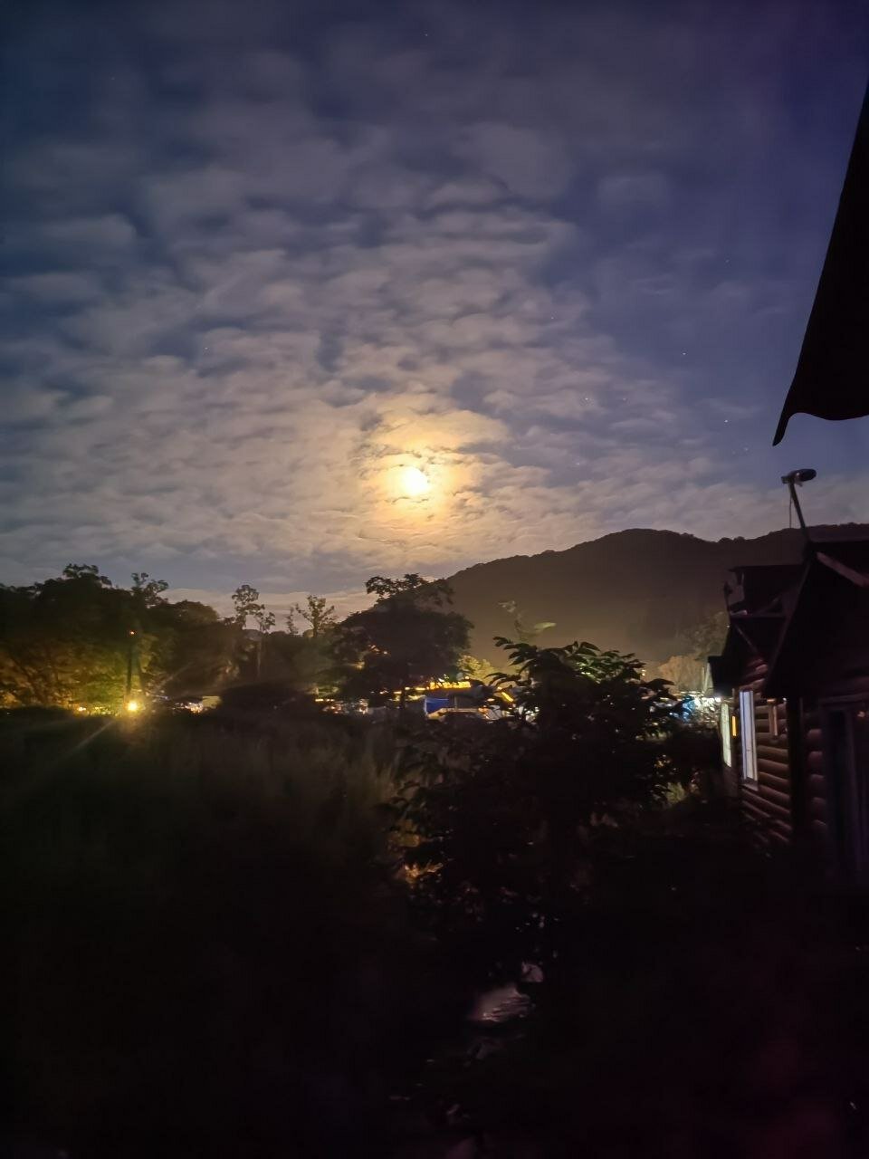 Фото Лесной дворик