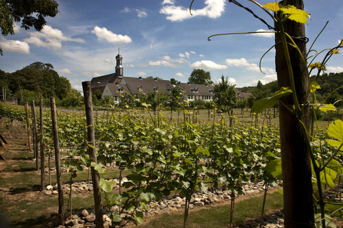 Внешний вид отеля Chateau St Gerlach в Валькенбурге, фото 5
