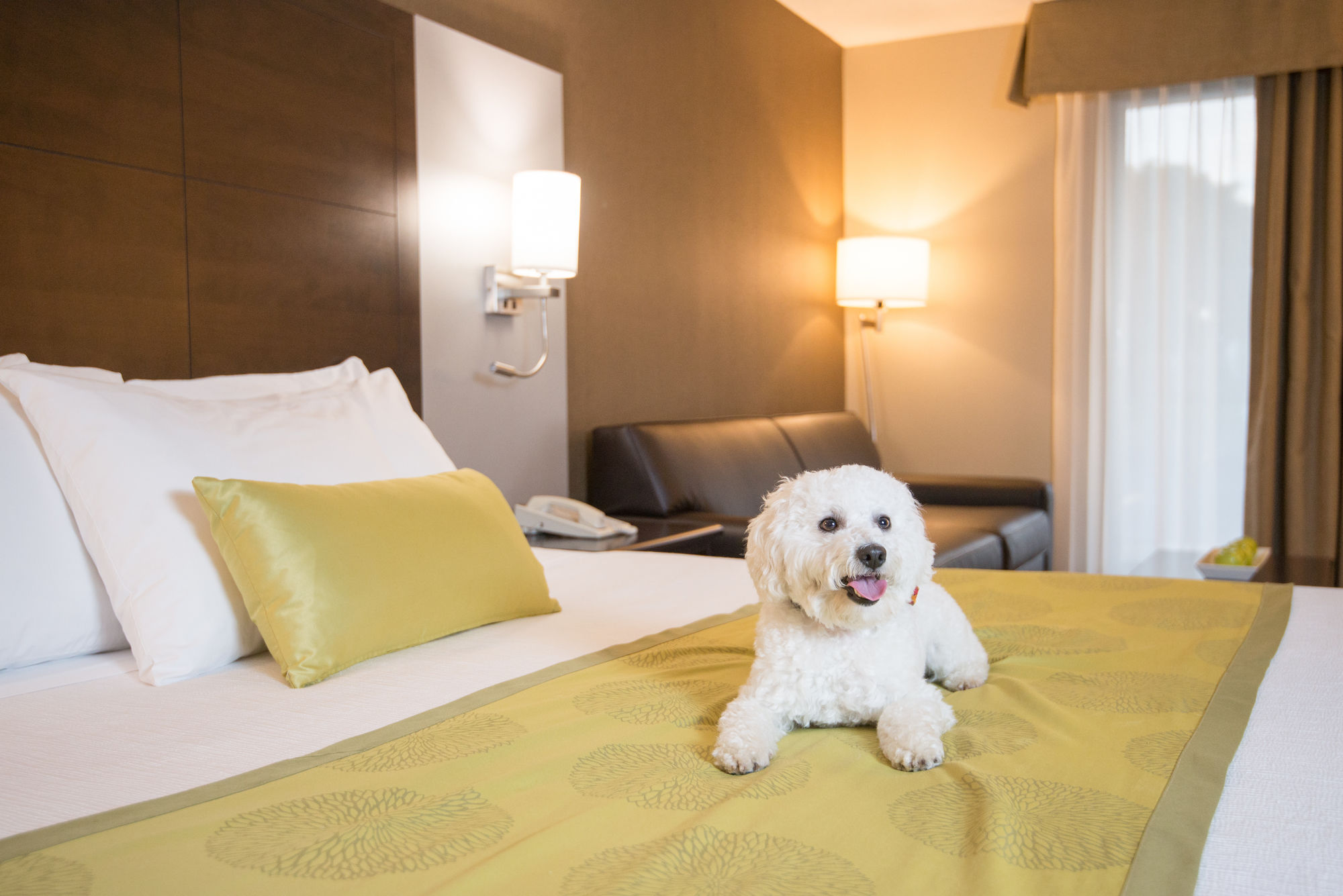 Фото Best Western Plus Leamington Hotel & Conference Centre