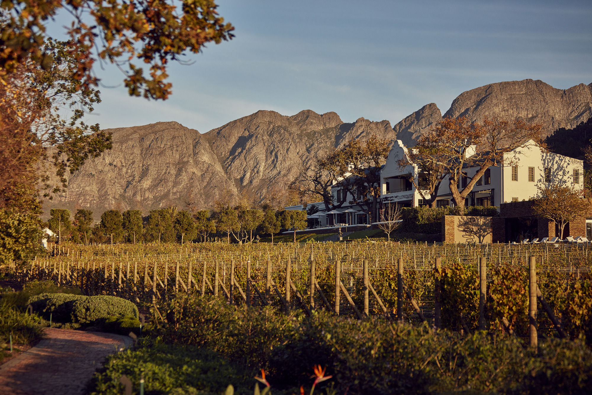 Фото Leeu Estates