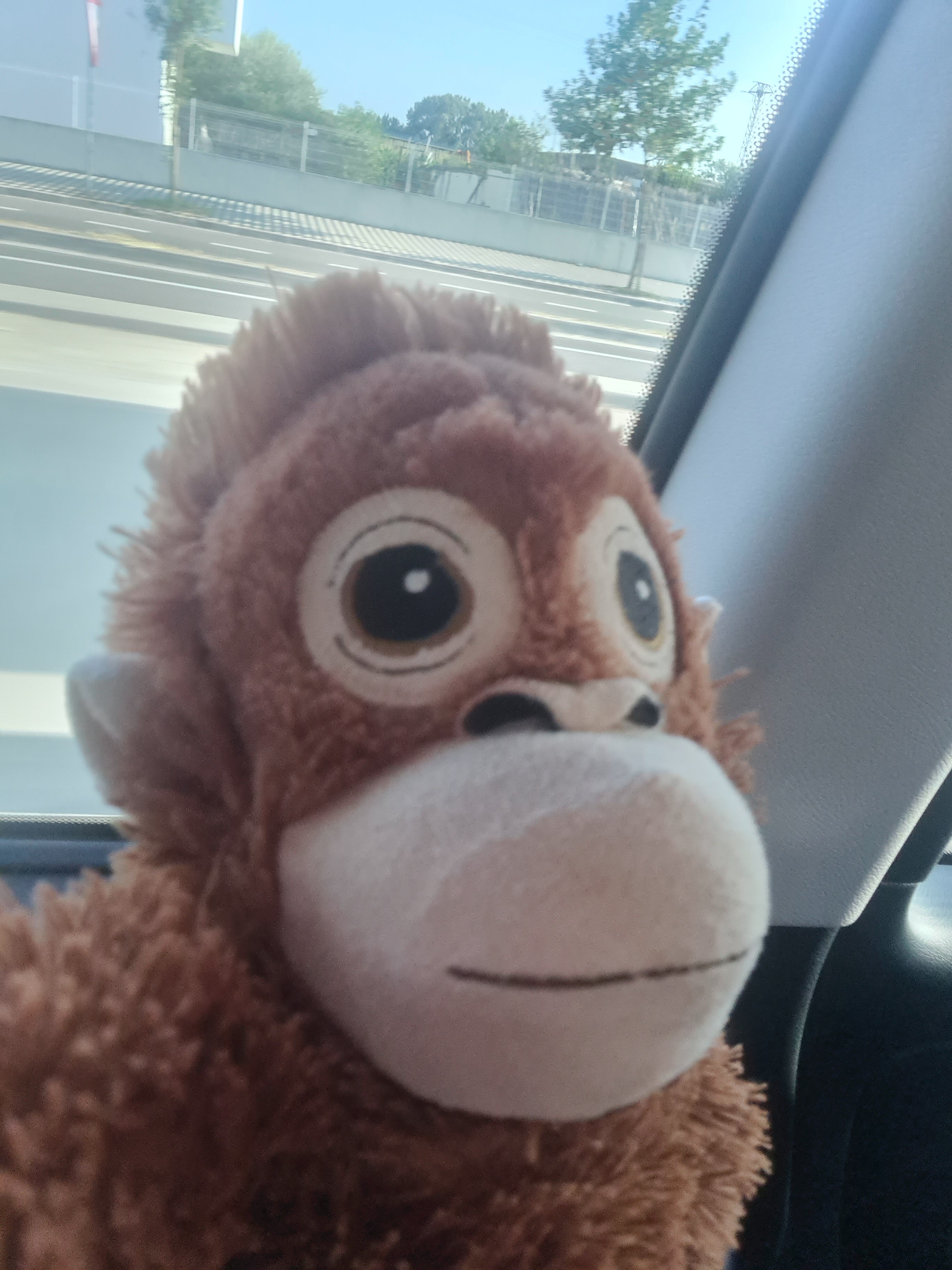 Фото Hotel Vistabella