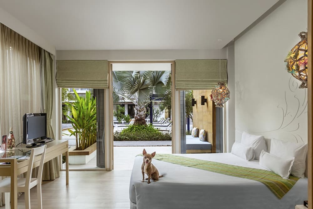 Фото The Lapa Hotel