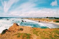 Фото Surf & Sand Lodge