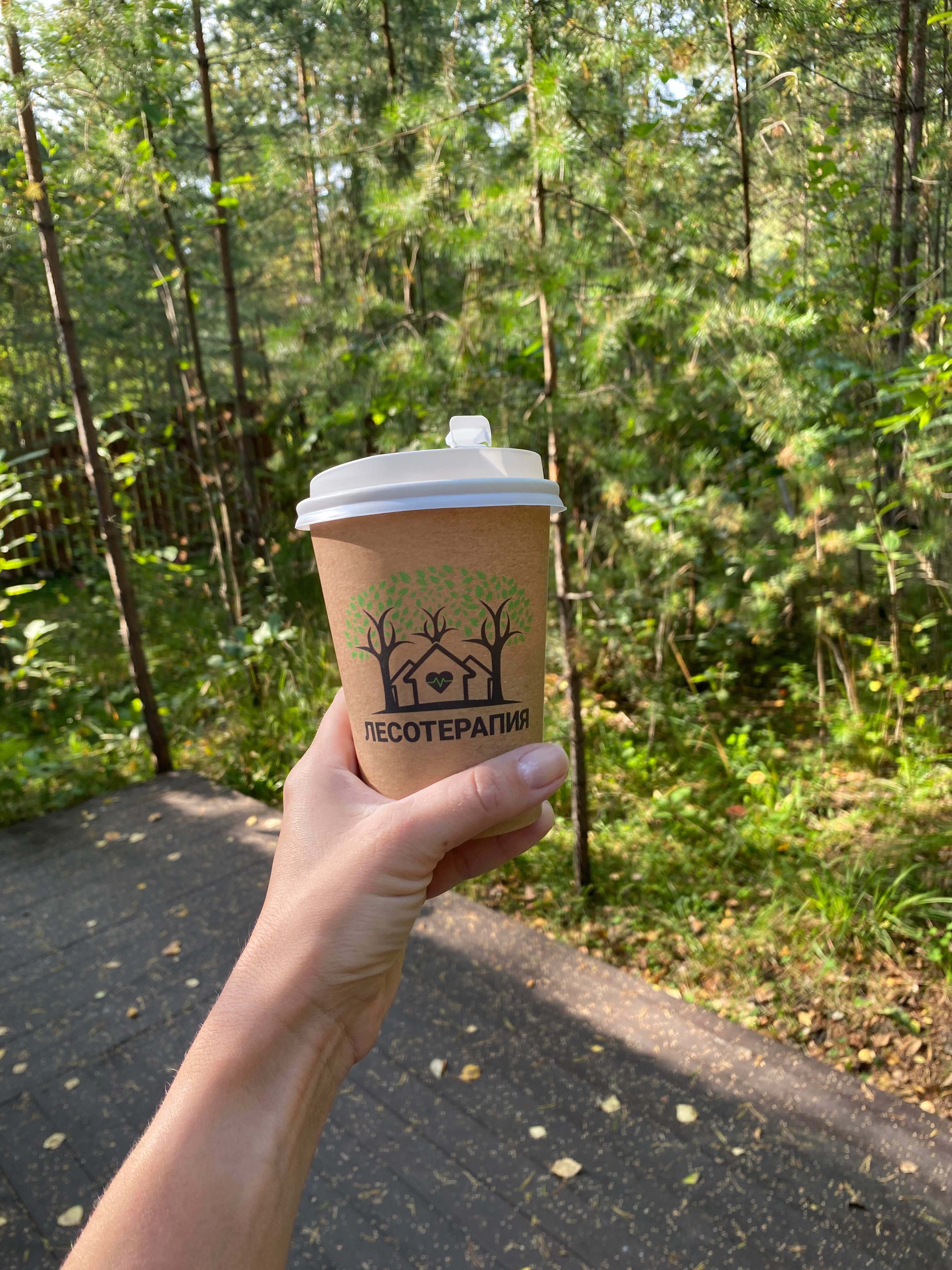 Фото Лесотерапия