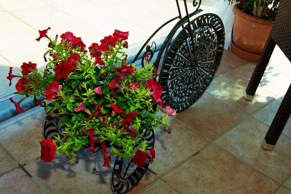 Фото Olive Grove Hotel