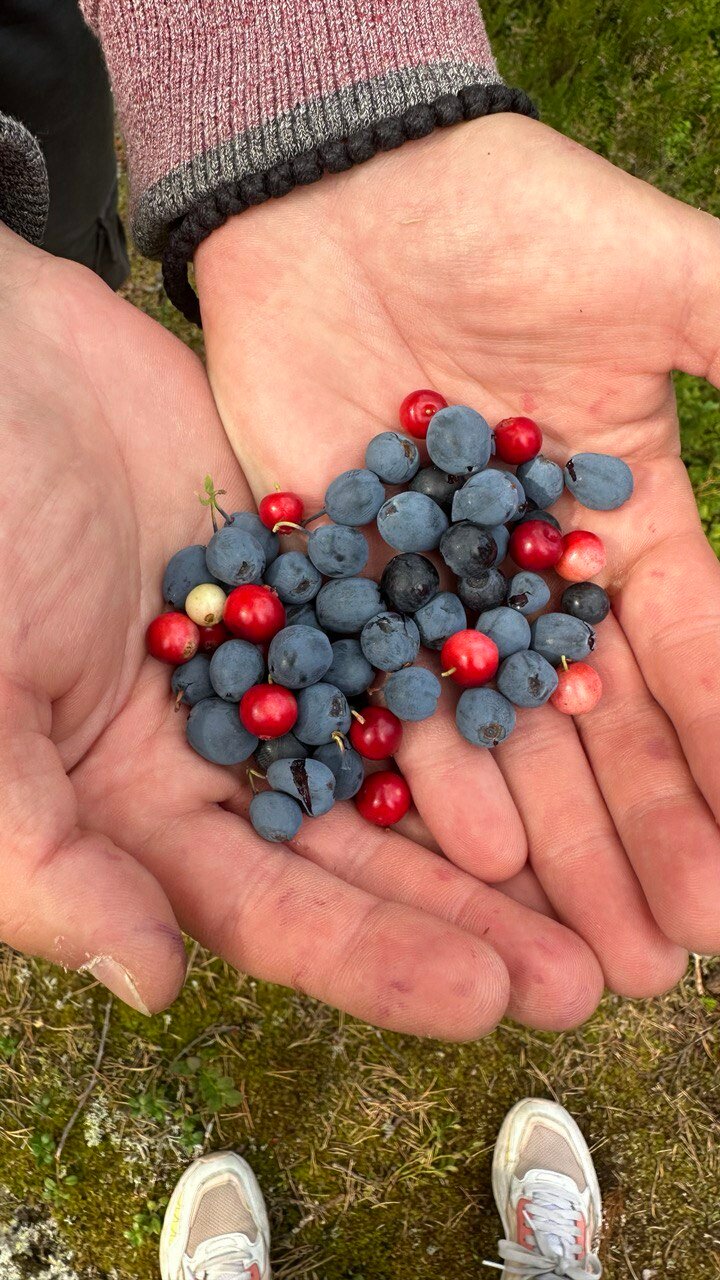 Фото Sumeria House