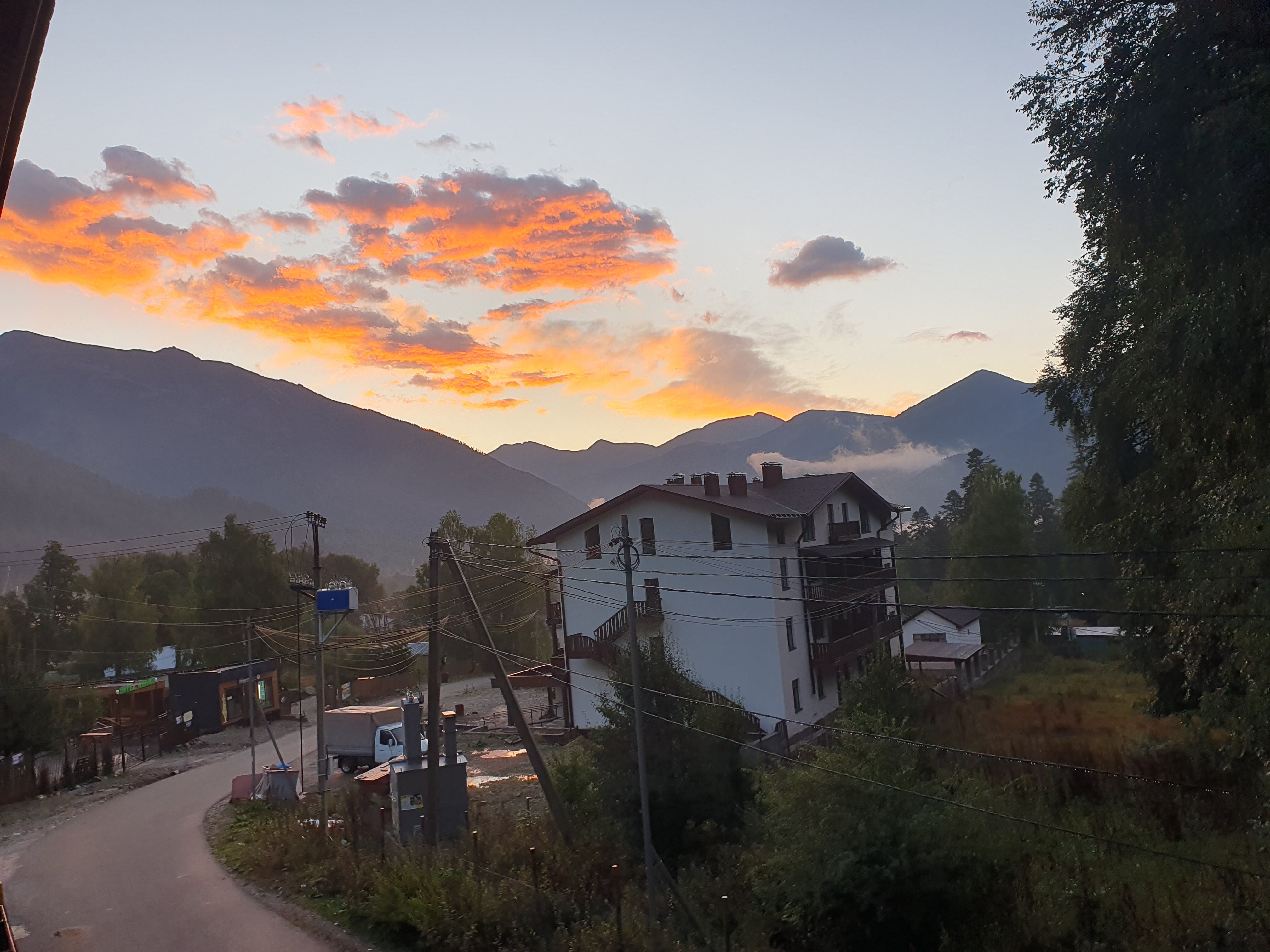 Фото Горная Лаванда