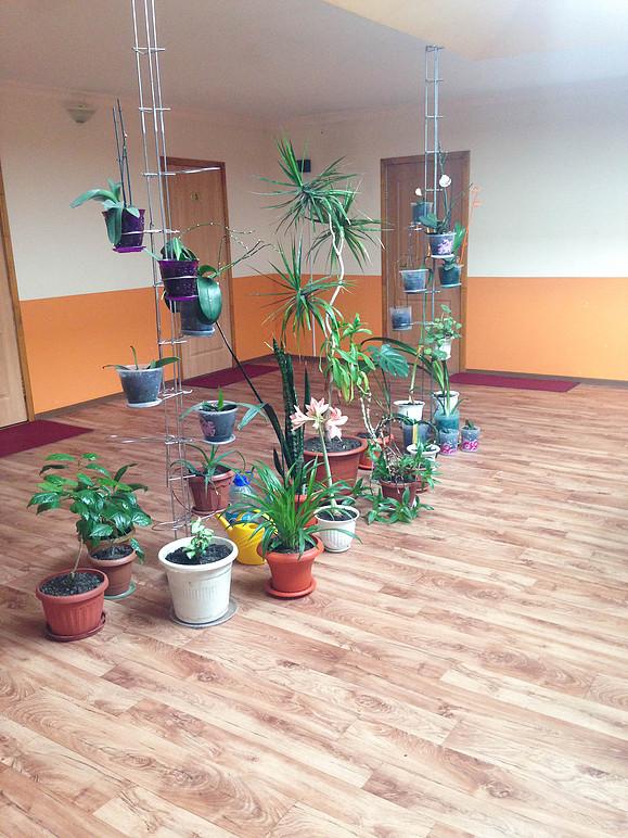 Фото Глория