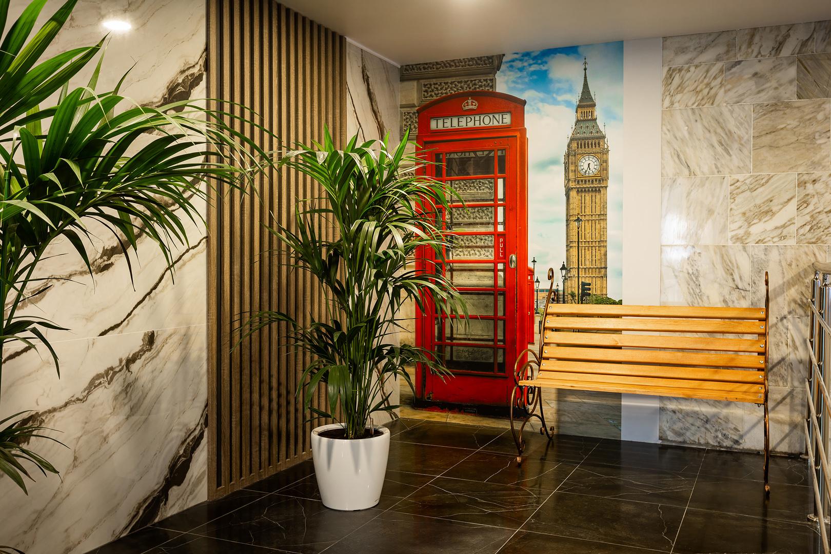 Фото Дружба