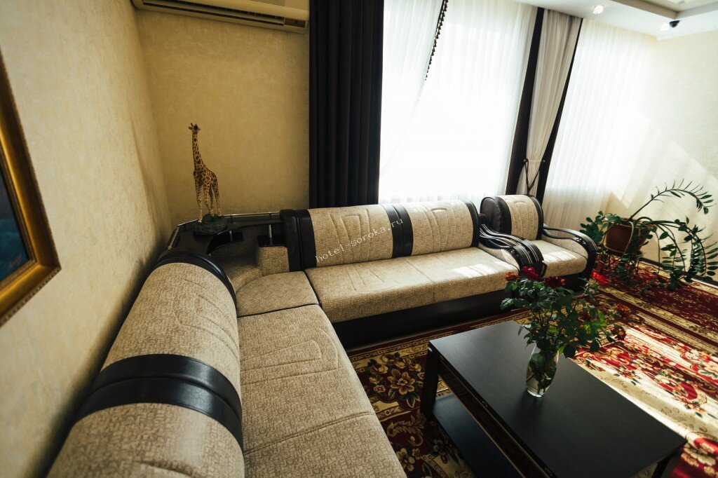 Фото Сорока