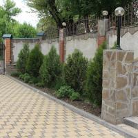 Фото Каштан