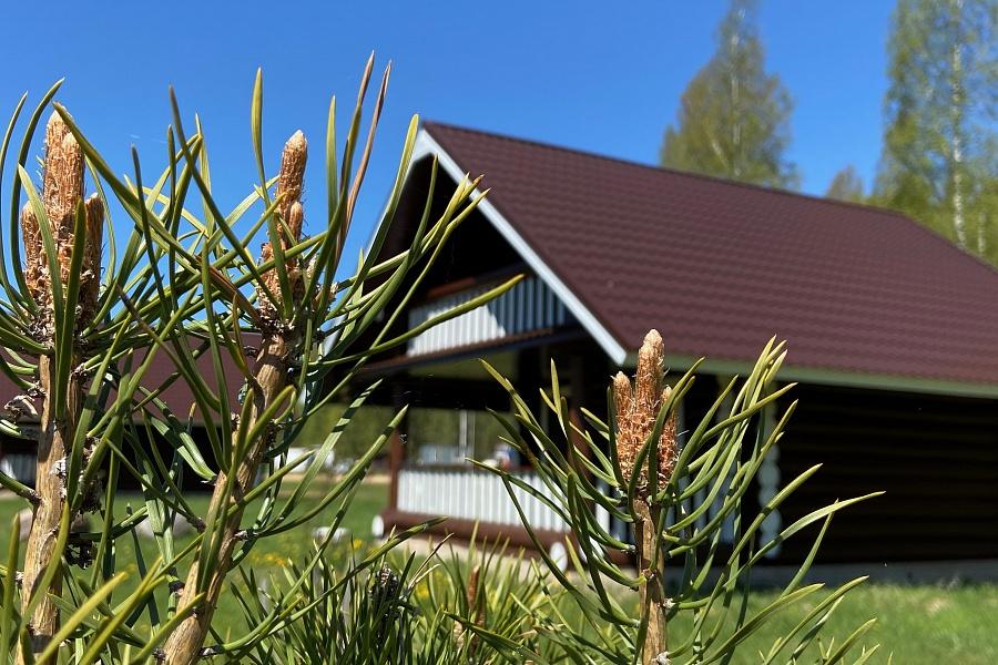 Фото Верхнее Никольское