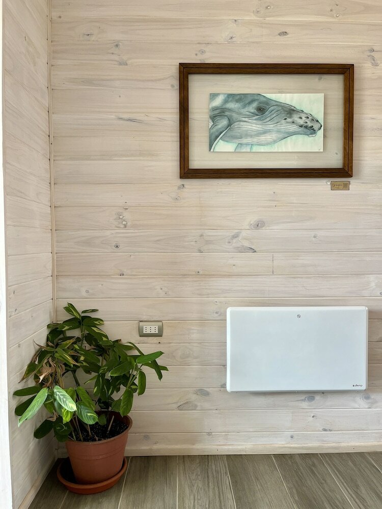 Фото Viento Bravo