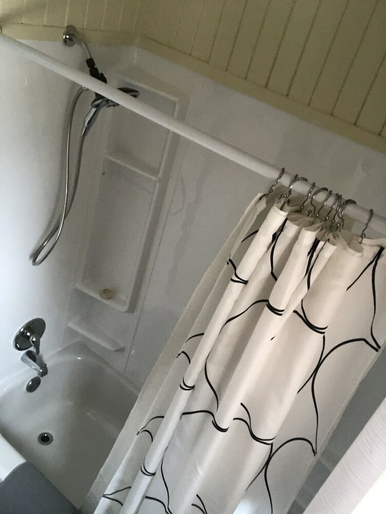 Фото Les chanterelles de Forillon