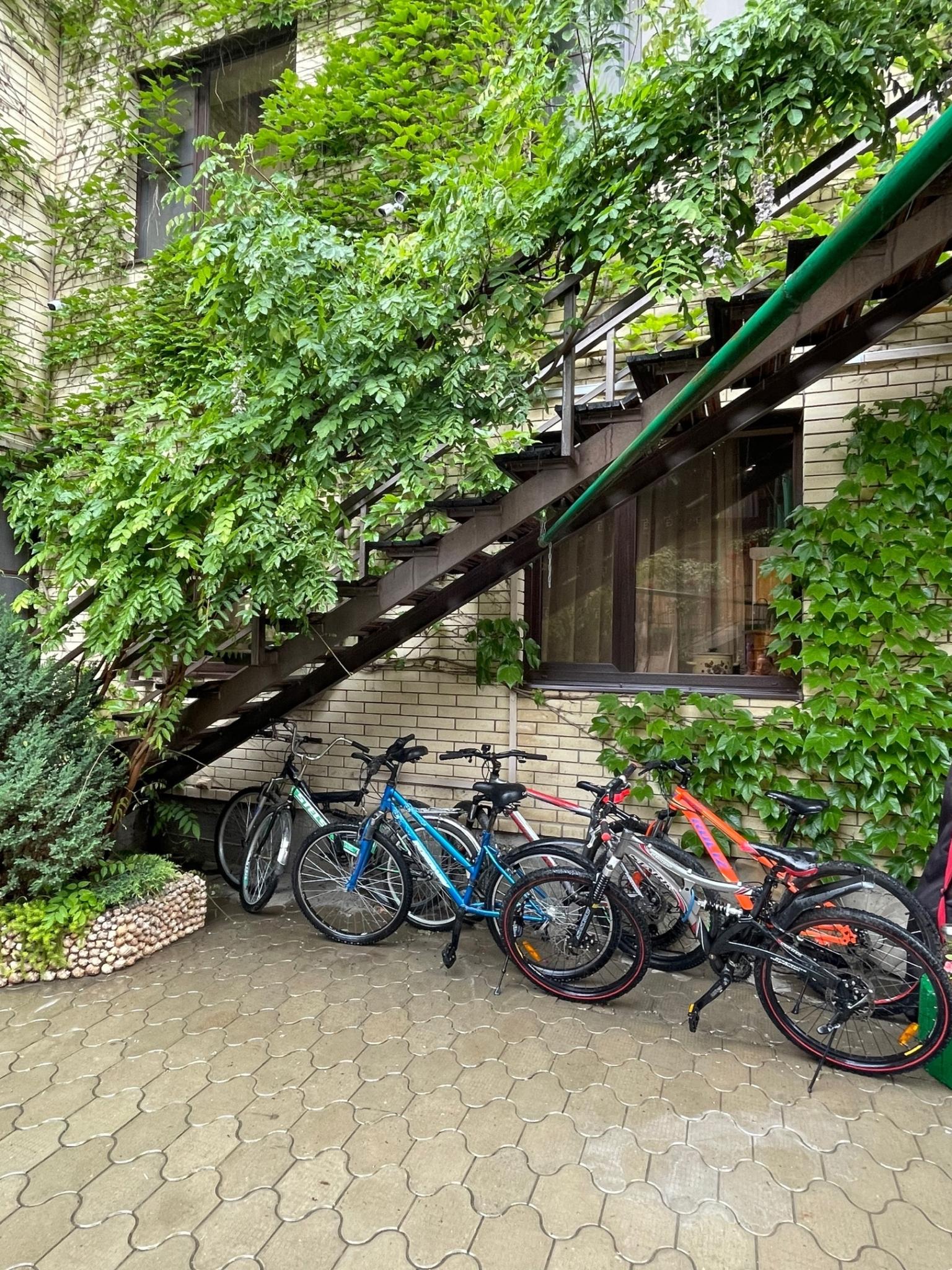 Фото Анисья