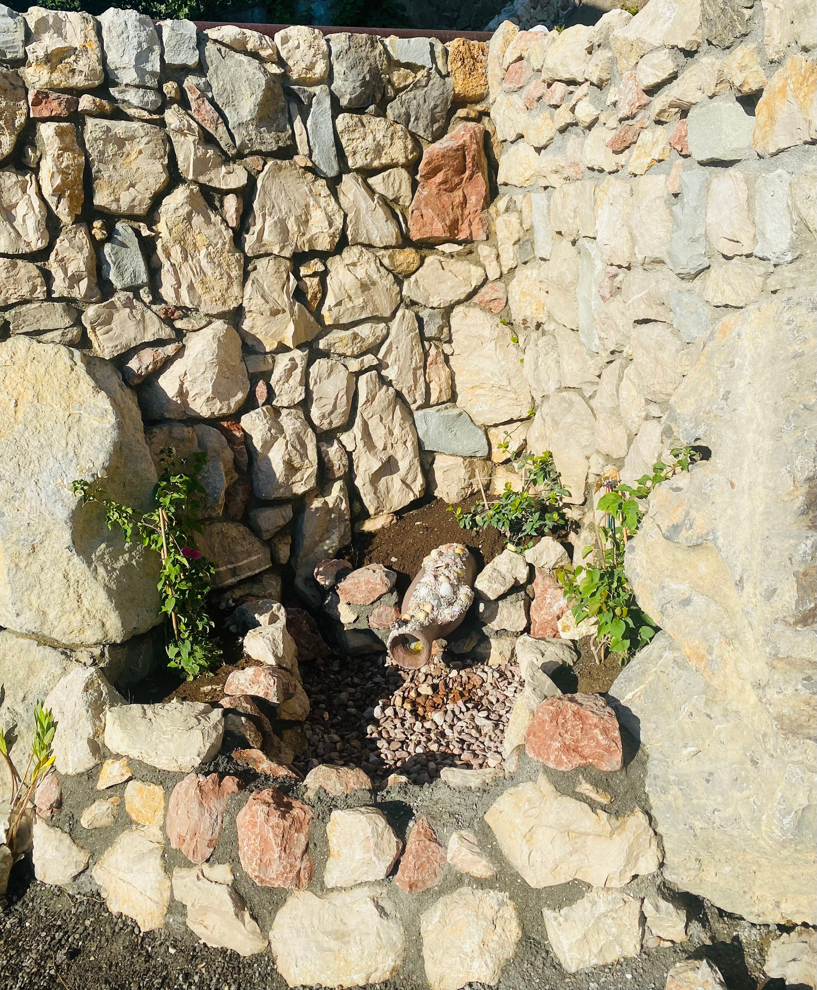 Фото Место под солнцем