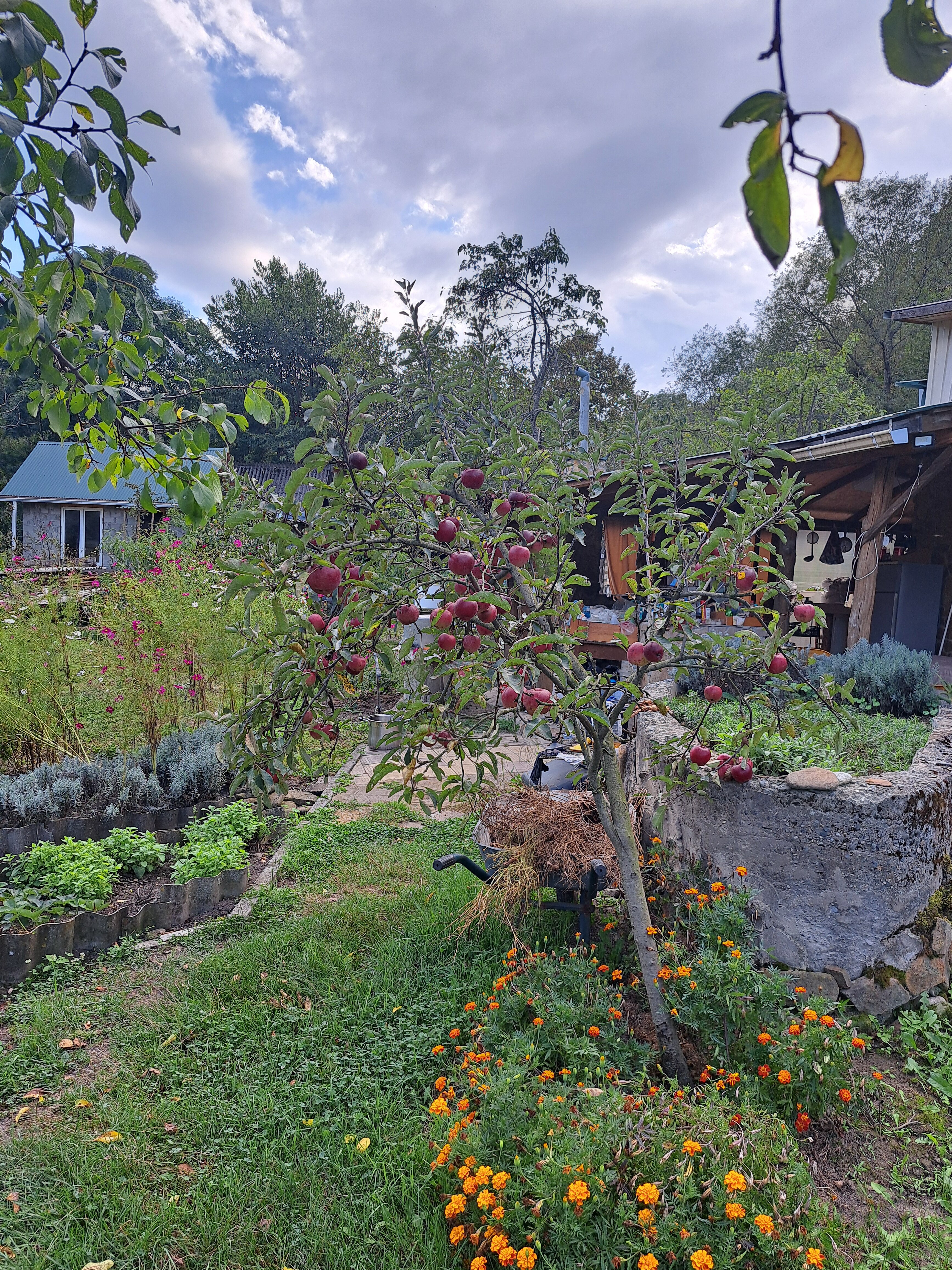 Фото Четыре сезона