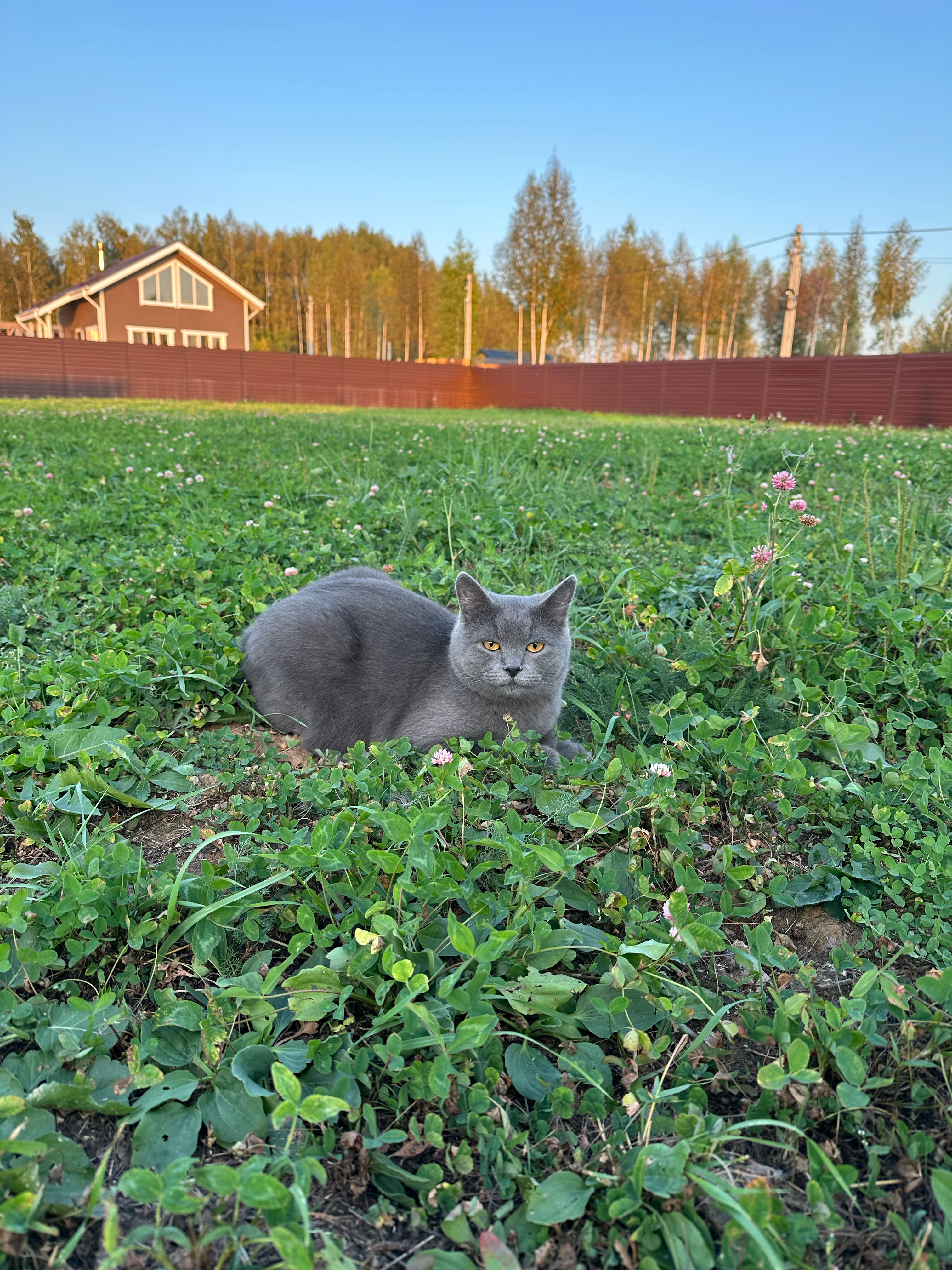 Фото Сканди Лайф