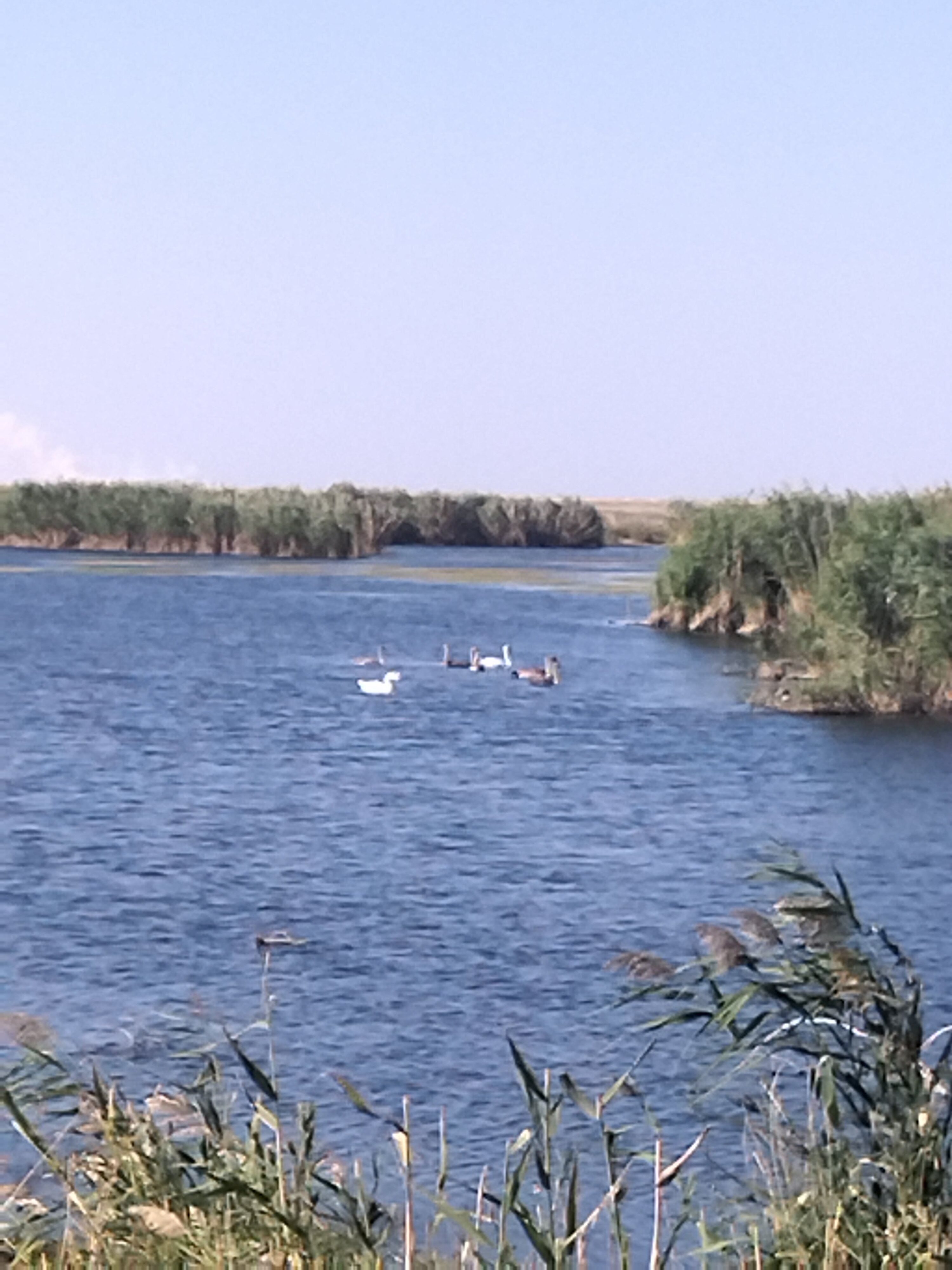 Фото Санаторий-курорт имени В. И. Чапаева
