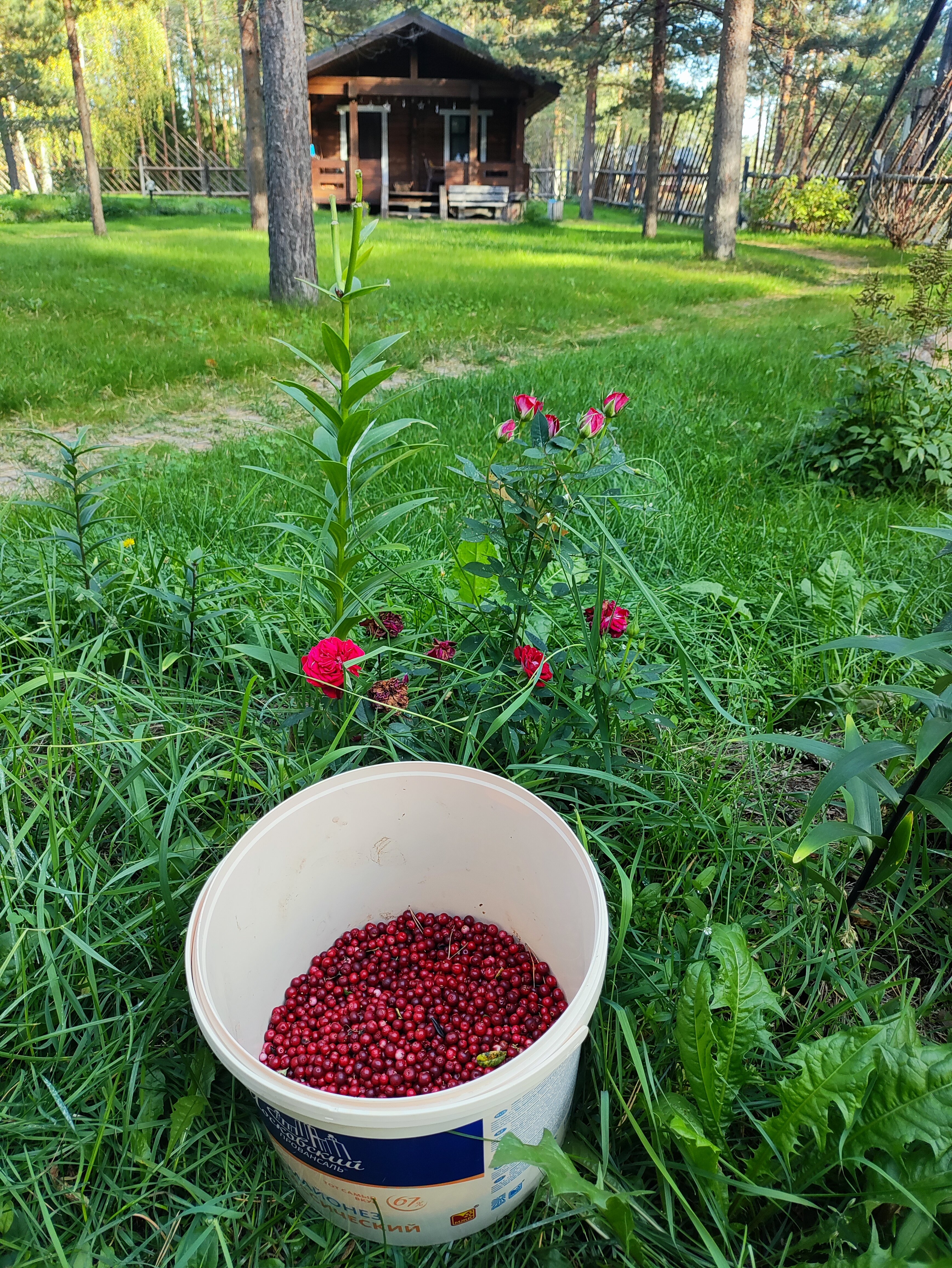 Фото Семиозерие